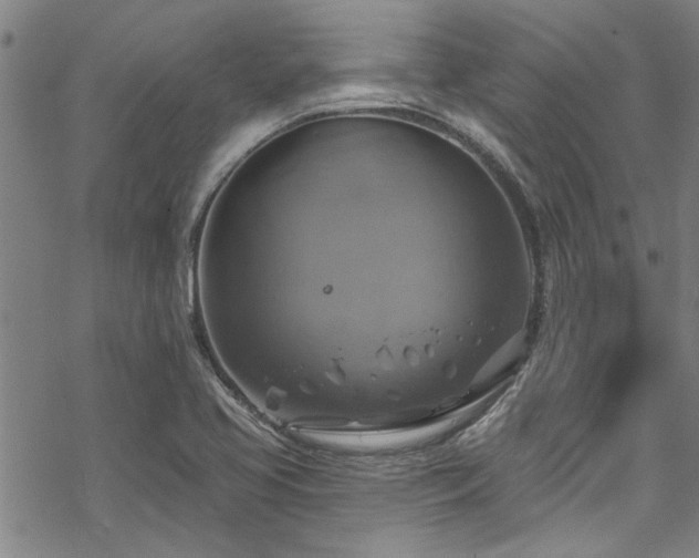 X0000068841413200605051250