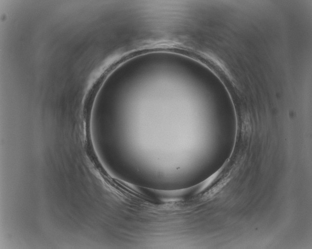 X0000068841414200605051250