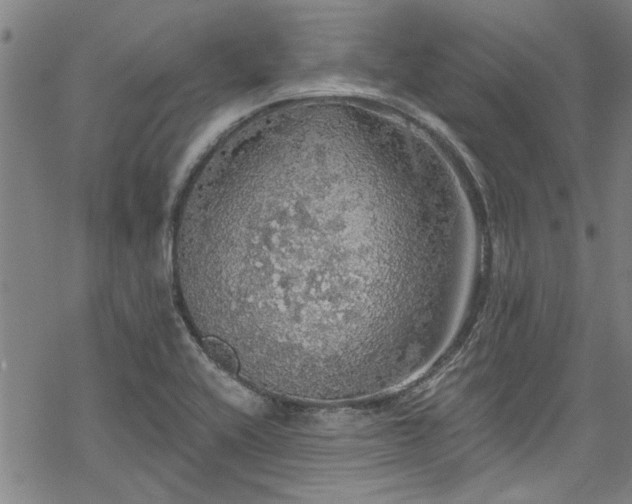 X0000068841416200605051250