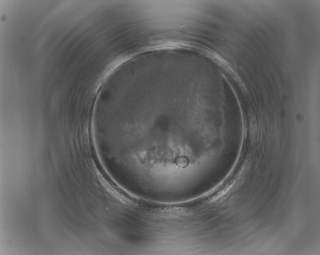 X0000068841417200605051250