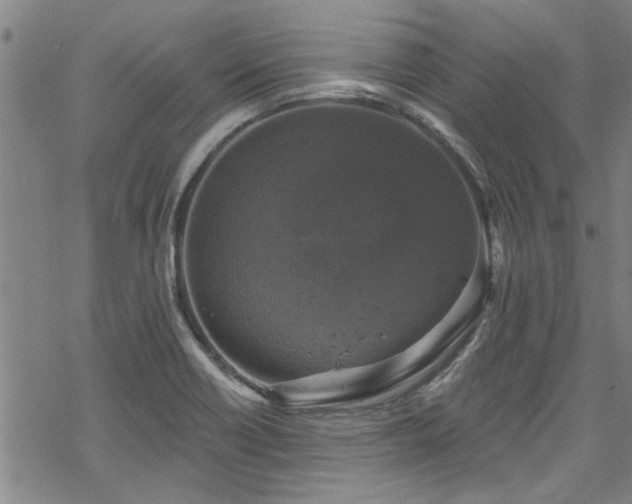 X0000068841418200605051250