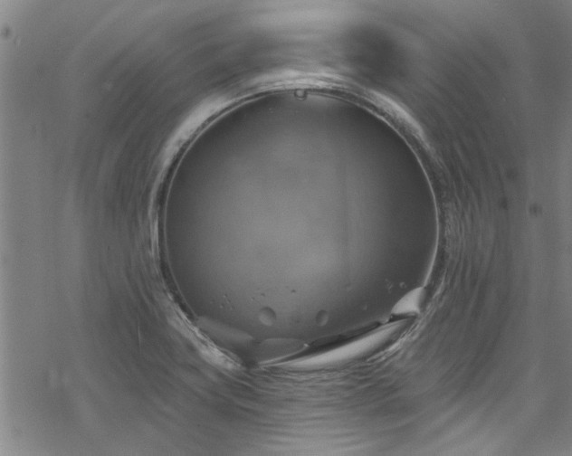 X0000068841419200605051250