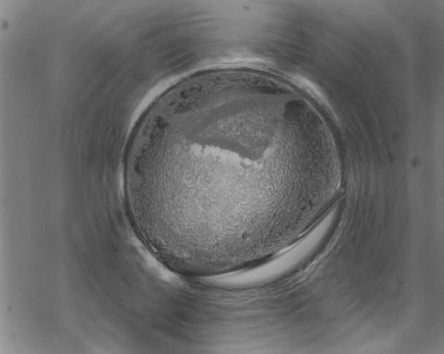 X0000068841420200605051250