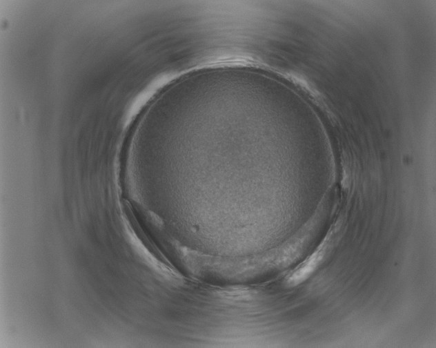 X0000068841422200605051250