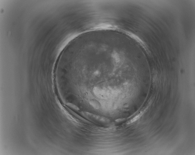 X0000068841423200605051250