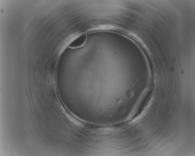 X0000068841425200605051250