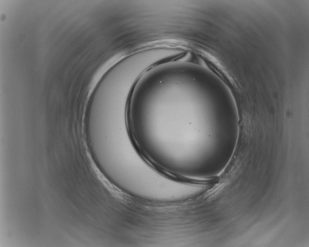 X0000068841426200605051250