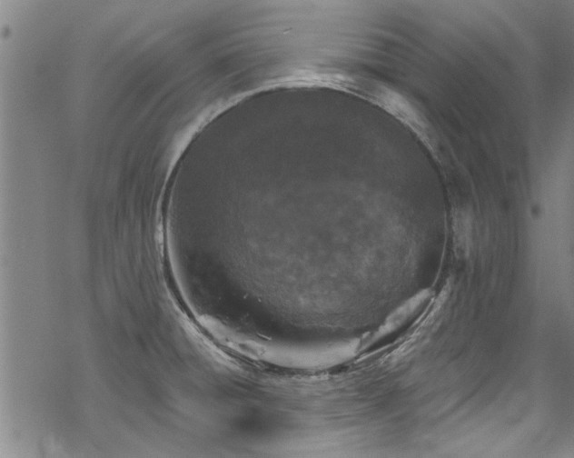 X0000068841428200605051250