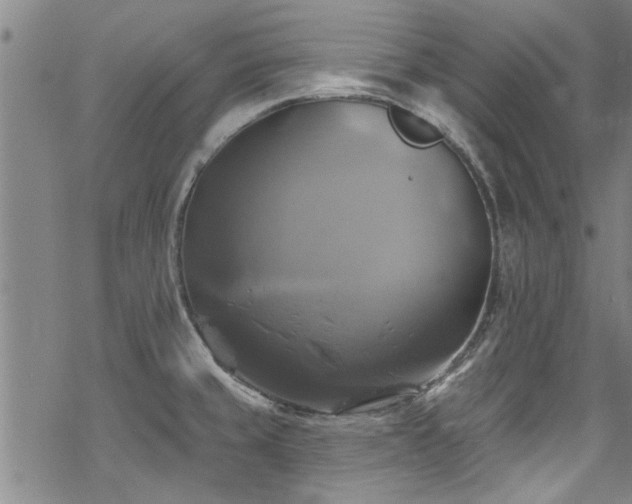 X0000068841429200605051250