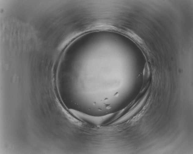 X0000068841430200605051250