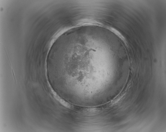 X0000068841431200605051250