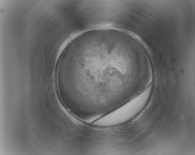 X0000068841432200605051250