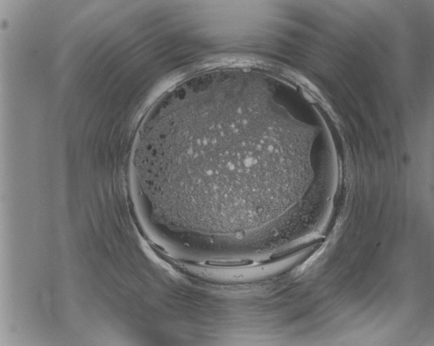 X0000068841433200605051250