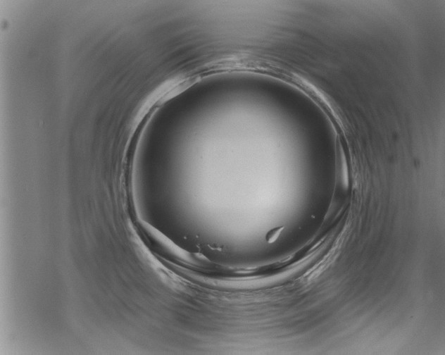 X0000068841434200605051250