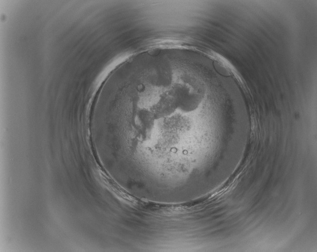 X0000068841435200605051250