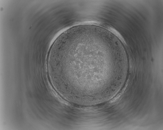 X0000068841436200605051250