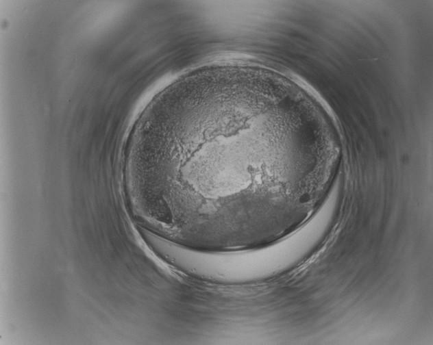 X0000068841437200605051250