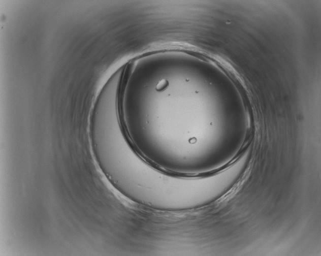 X0000068841438200605051250