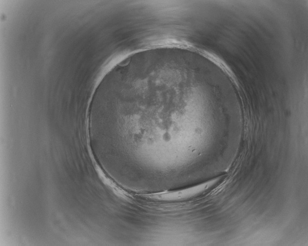 X0000068841439200605051250