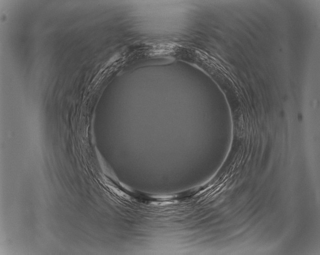 X0000068841441200605051250