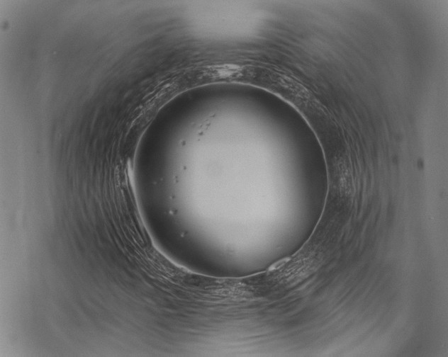 X0000068841442200605051250