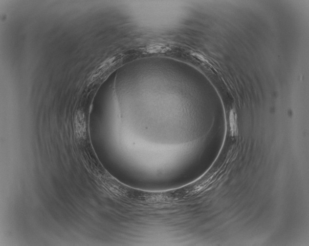 X0000068841443200605051250