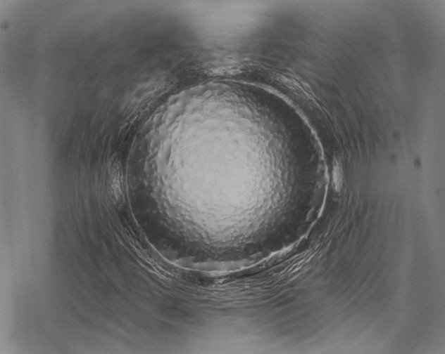 X0000068841444200605051250