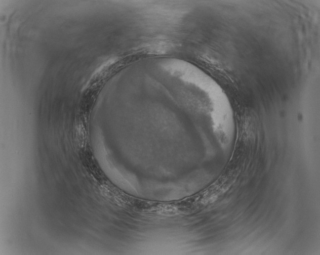 X0000068841446200605051250