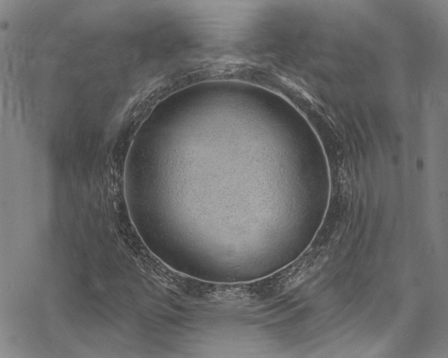 X0000068841447200605051250