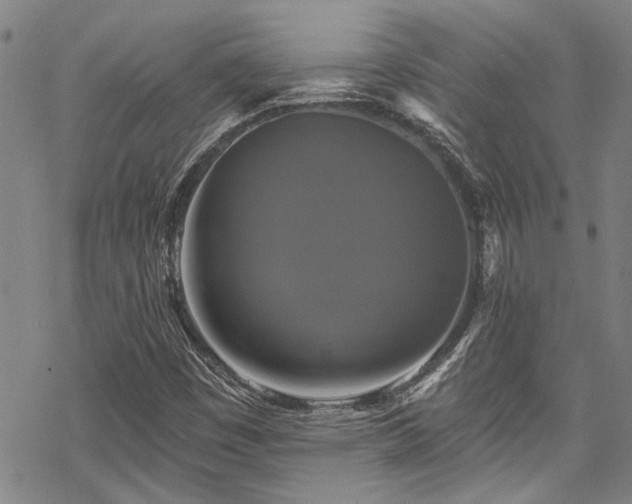 X0000068841449200605051250