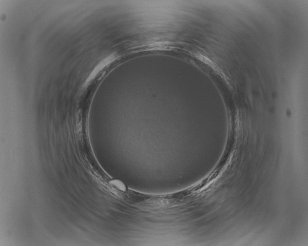 X0000068841450200605051249