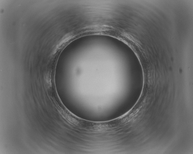 X0000068841451200605051249