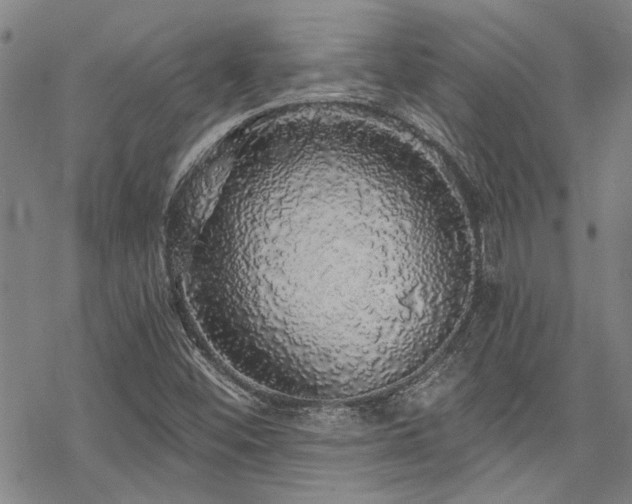 X0000068841452200605051249