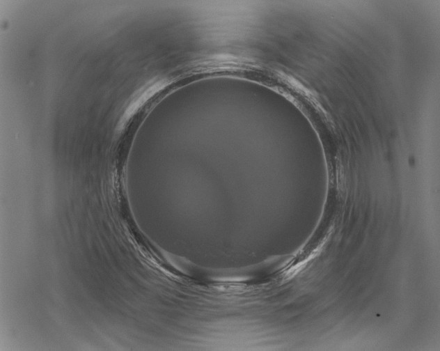 X0000068841453200605051249