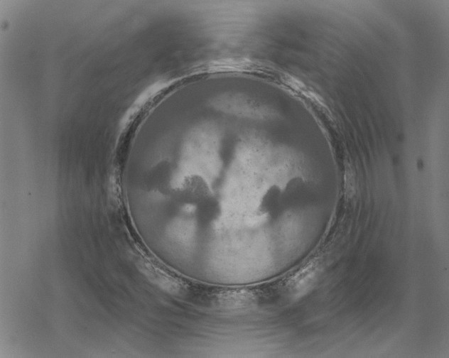 X0000068841454200605051249