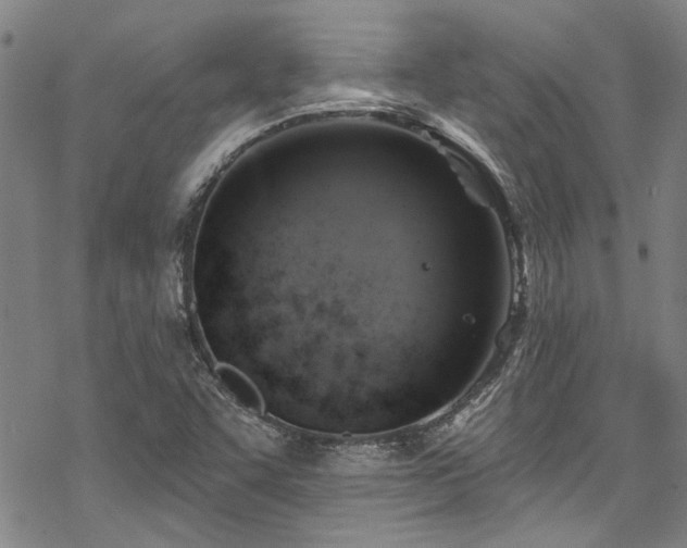 X0000068841455200605051249