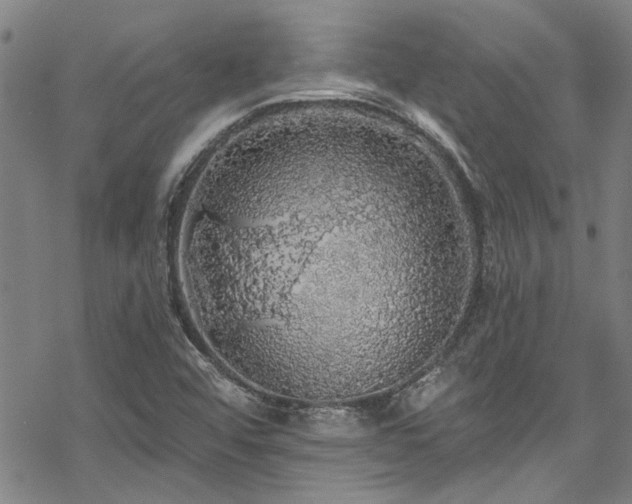 X0000068841456200605051249