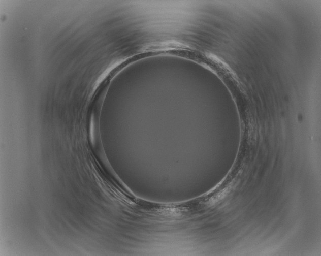 X0000068841457200605051249