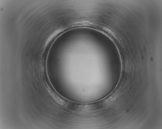 X0000068841458200605051249