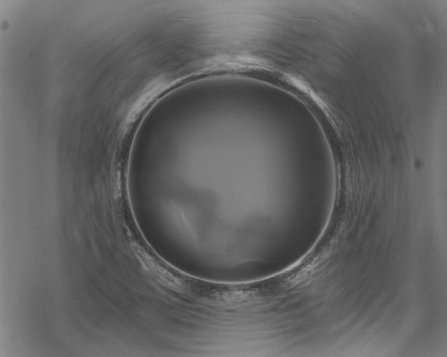 X0000068841459200605051249