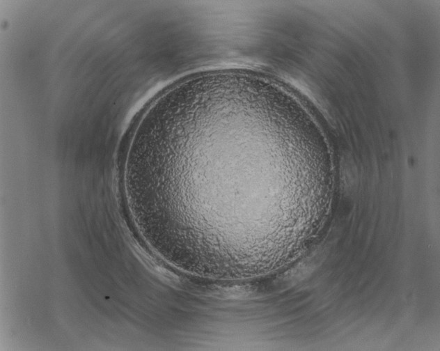 X0000068841460200605051249