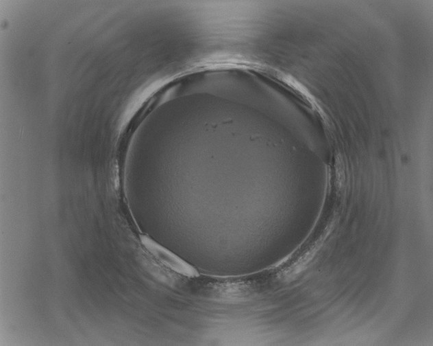 X0000068841461200605051249