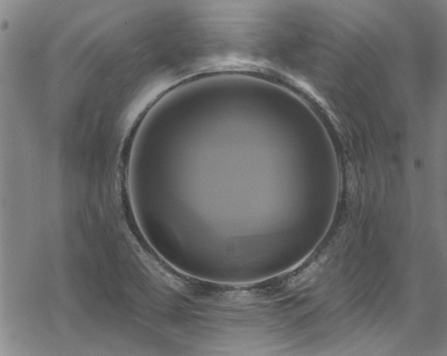 X0000068841463200605051249