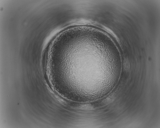 X0000068841464200605051249