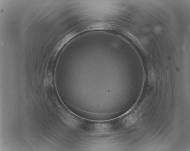 X0000068841465200605051249