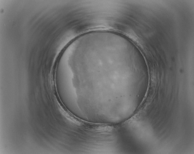 X0000068841466200605051249