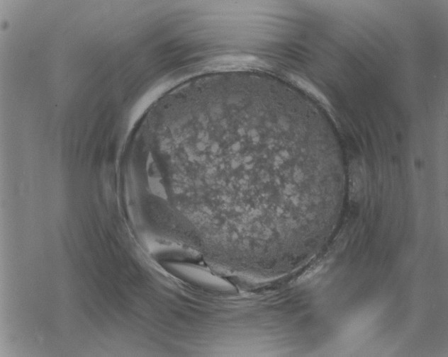 X0000068841467200605051249