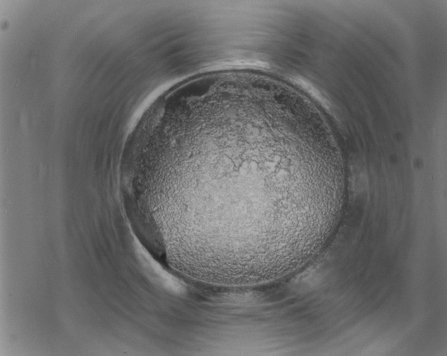 X0000068841468200605051249