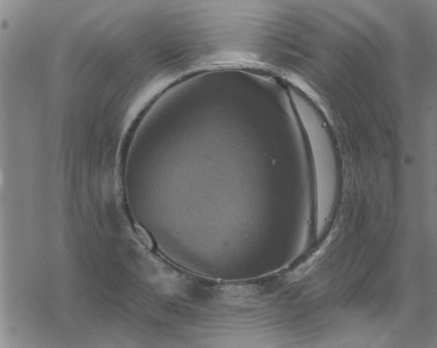 X0000068841469200605051249