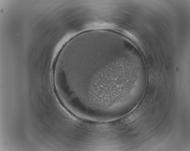 X0000068841472200605051249